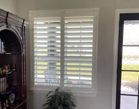 Discount Tree_tree removal Pompano Beach FL_featured image