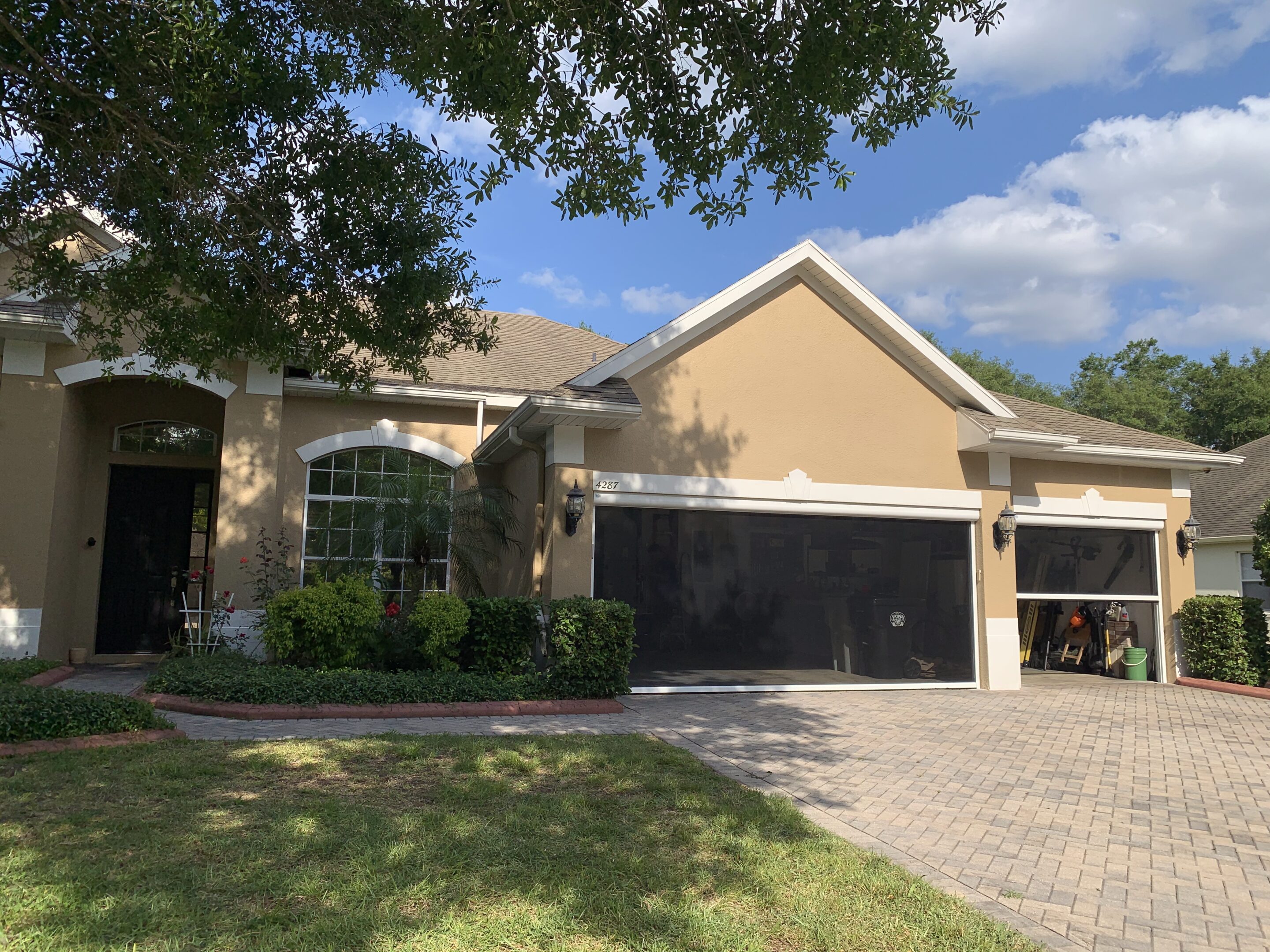 Alex Salgado-Discount Tree Service Alex Salgado-Discount Tree Service